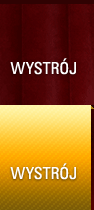 Wystrój